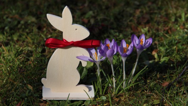 Hase Männchen Größe S