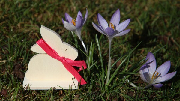 sitzender Hase Größe XS